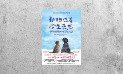好書指南 |《動物也有今生來世》