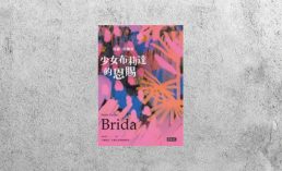 好書指南 |《少女布莉達的恩賜》