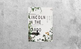 好書指南 |《林肯在中陰》