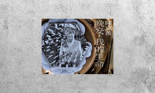 好書指南 |《晚安，我的生命》