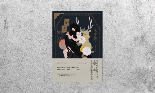 好書指南 |《小說燈籠》